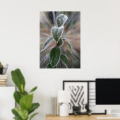 frostgefangen poster (Heimbüro)