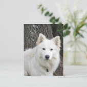 frostig postkarte (Stehend Vorderseite)