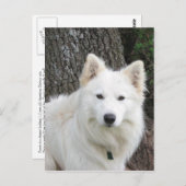 frostig postkarte (Vorne/Hinten)