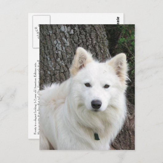 frostig postkarte (Vorne/Hinten)