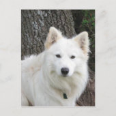 frostig postkarte (Vorderseite)