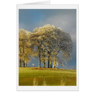 Frostige Bäume auf der Hügelkarte