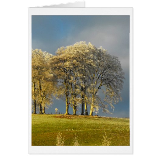 Frostige Bäume auf der Hügelkarte (Vorne)