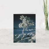 Frostige Bäume und Schnee an den Kratern des Monde Karte (Vorderseite)