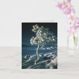 Frostige Bäume und Schnee an den Kratern des Monde Karte