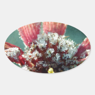 Frostige Blume Ovaler Aufkleber