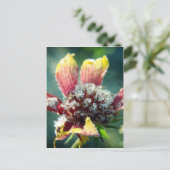 Frostige Blume Postkarte (Stehend Vorderseite)