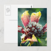 Frostige Blume Postkarte (Vorne/Hinten)