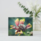 Frostige Blume Postkarte (Stehend Vorderseite)