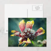Frostige Blume Postkarte (Vorne/Hinten)