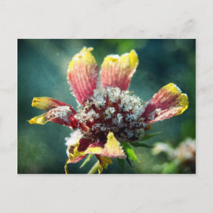 Frostige Blume Postkarte