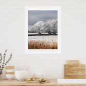 Frostige Felder und Bäume Poster (Küche)