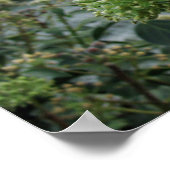 Frostige Foliage Poster (Ecke)