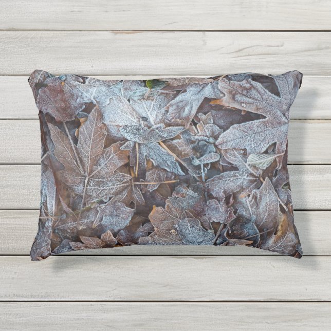 Frostige Herbstrückstände II Kissen Für Draußen (Vorderseite)
