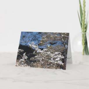 "Frostige Kiefer" Weihnachtskarte Karte