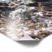 "Frostige Kiefern" Fotodruck (Ecke)