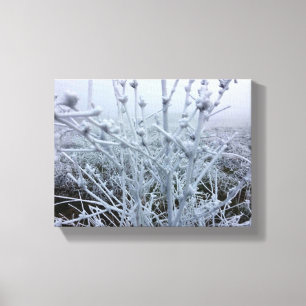 Frostige Pflanzen Winterlandschaft Leinwanddruck