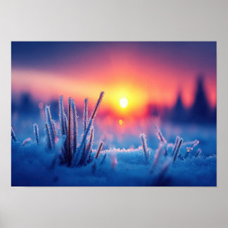 Frostige Winterwiese bei Sonnenaufgang Poster