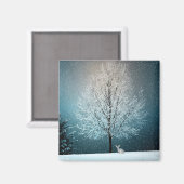 Frostiger Baum am Abend Magnet (Vorderseite/Rückseite)