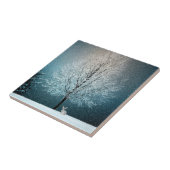 Frostiger Baum im Abend Fliese (Seite)