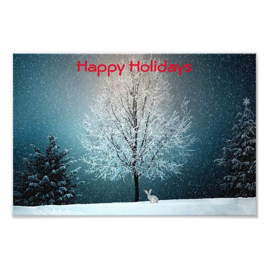 Frostiger Baum im Abend Fotodruck (Vorne)