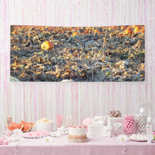 Frostiger Kürbisflicken  Banner (Party)