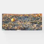 Frostiger Kürbisflicken  Banner (Horizontal)