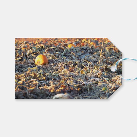Frostiger Kürbispatch Geschenkanhänger (Vorderseite (Horizontal))