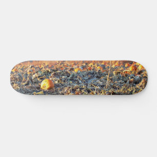 Frostiger Kürbispatch Skateboard