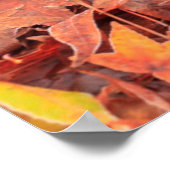 Frostiger Morgen, Mill Creek, WA, USA Poster (Ecke)