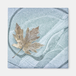 Frostiges Ahornblatt auf Eis gefroren Magnet
