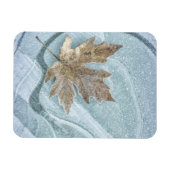 Frostiges Ahornblatt auf Eis gefroren Magnet (Horizontal)