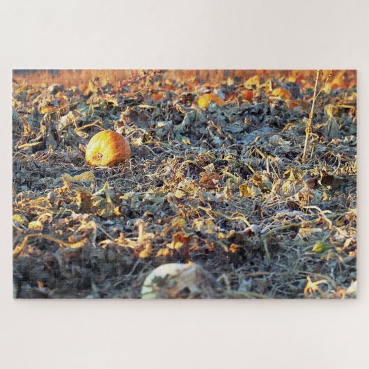 Frostiges Kürbisfeld Puzzle (Horizontal)