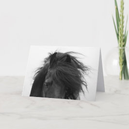 Frostkarte für die Augen von Friesian Karte