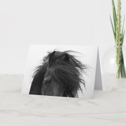 Frostkarte für die Augen von Friesian Karte (Vorderseite)