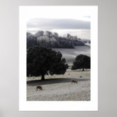 Frostmorgens Poster (Vorne)