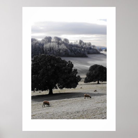 Frostmorgens Poster (Vorne)