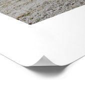 Frostmorgens Poster (Ecke)