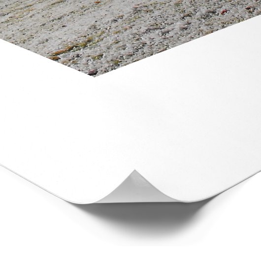 Frostmorgens Poster (Ecke)