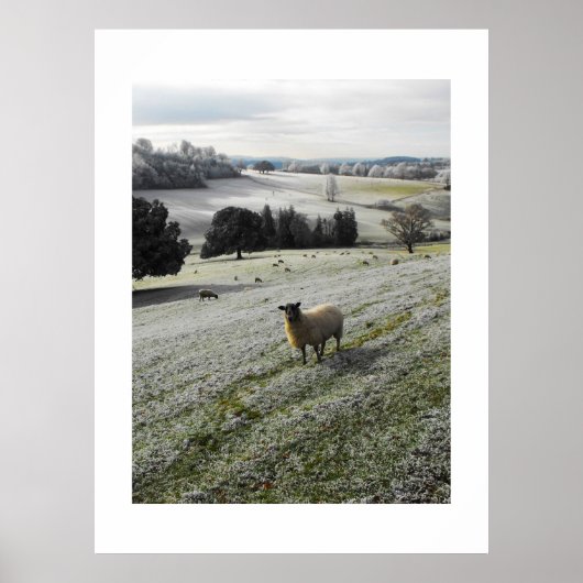 Frostmorgens Poster (Vorne)