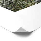 Frostmorgens Poster (Ecke)