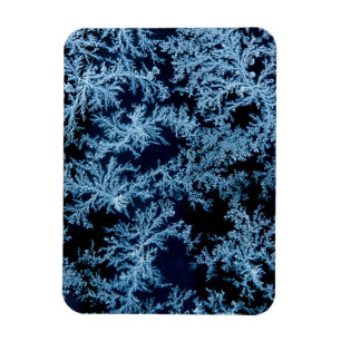 Frostmuster aus der Nähe, Kalifornien Magnet