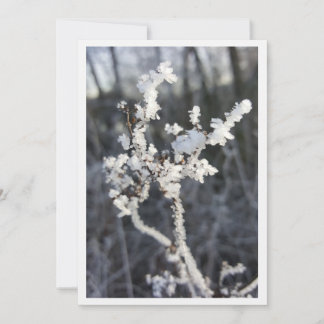 „Frostpoesie – Einladung mit Raureif-Zweig“