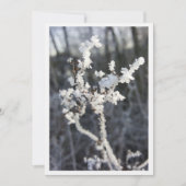 „Frostpoesie – Einladung mit Raureif-Zweig“ (Vorderseite)