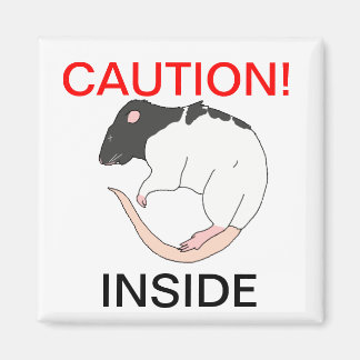 Frostwarnmagnet Magnet