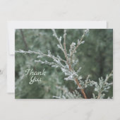 Frosty Evergreen Christmas Nature Foto Dankeskarte (Vorderseite)