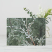 Frosty Evergreen Christmas Nature Foto Dankeskarte (Stehend Vorderseite)