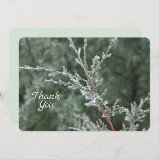 Frosty Evergreen Christmas Nature Foto Dankeskarte (Vorne/Hinten)