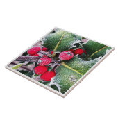 Frosty Holly Fliese (Seite)
