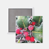 Frosty Holly Magnet (Vorderseite/Rückseite)